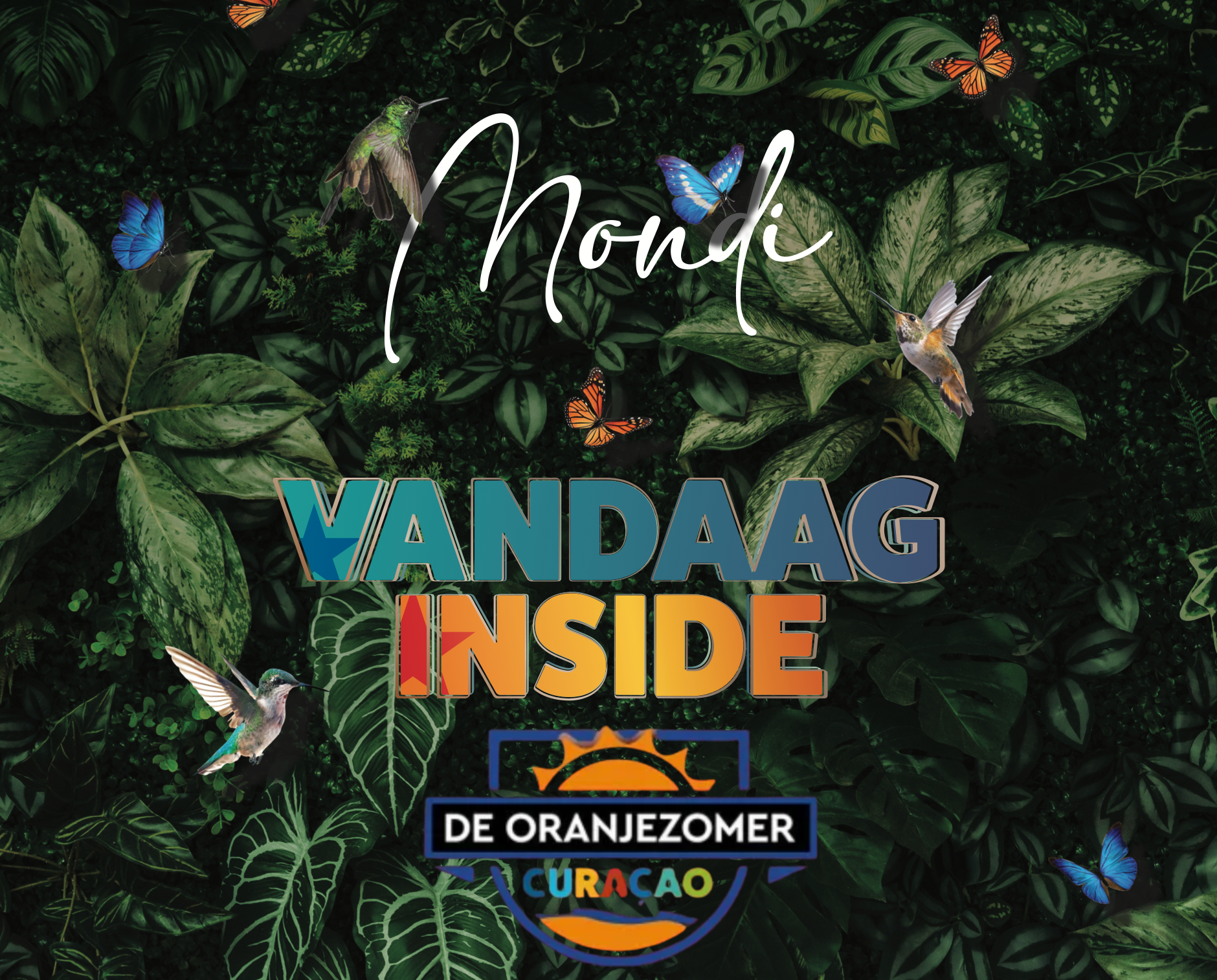 VANDAAG INSIDE X DE ORANJE ZOMER