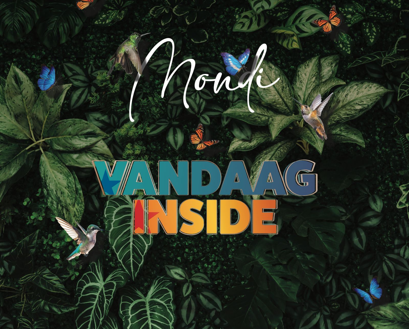 MONDI X VANDAAG INSIDE